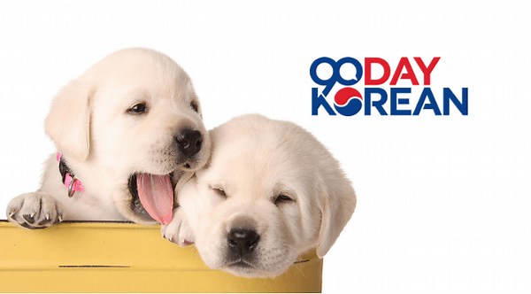 How to Say "Cute" in Korean - Ways to use this compliment