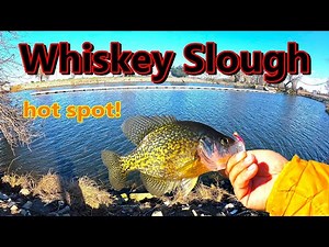 Winter Time Bank Fishing Stockton, CA