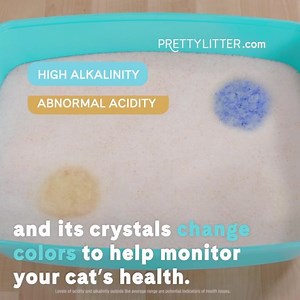 3.2K views · 30 reactions | Let us know if you catch the full commercial  | PrettyLitter | Facebook