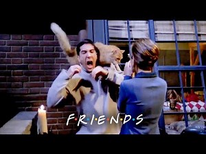 Ross Gets Attacked by a Cat | Friends
