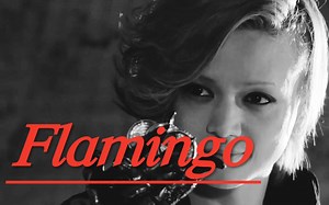 【假面骑士ooo】Flamingo｜舞台上发光的只有你一人也好｜