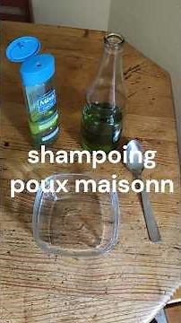 shampoing poux maison
