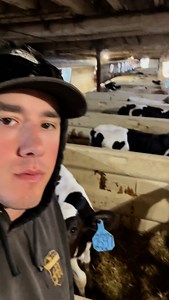 2.5K views · 941 reactions | Cleaning out the calf barn to get ready for new calves! #dairy #dairyfarming #farmer #familyfarm #life #family #farm #dairyfarm #familyfarmlife | FarminwithTrev | Facebook