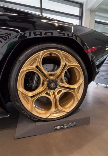 Tire Parking Cushions for Optimal Storage