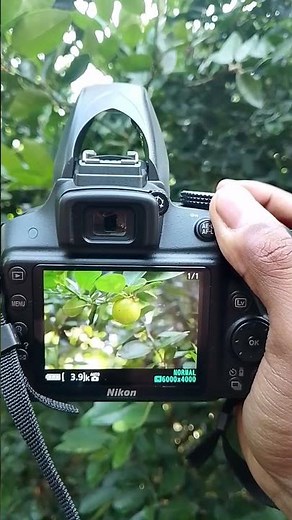 NIKON D3300 + Nikon AF-S 35mm f/1.8G Standard Lens | macro photography #nikon #photography #camara