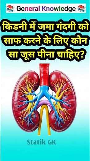 TOP 40 GK questions 💯🔥🥰 GK Question and answer #gk #upsc #ssc #staticgk #gkfacts #gkquestion #gs