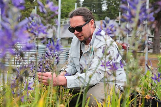 How one tribe’s ‘flower house’ is re-seeding Oregon with native plants