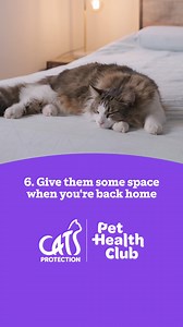 Regular vet trips for your cat can help identify any potential health issues early. Find out how to make your trips more affordable. ​🐈 | Cats Protection