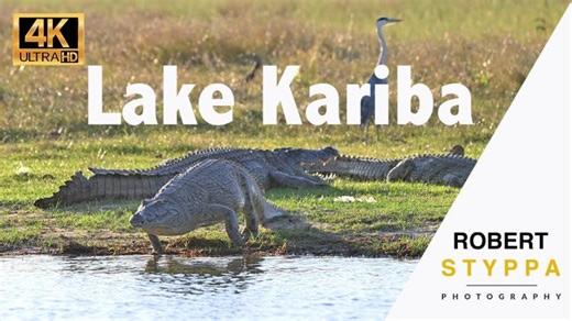 LAKE KARIBA (ZIMBABWE) Wild Wonders of Lake Kariba NP in Zimbabwe: Exploring Wildlife Heaven | aboutphototravel