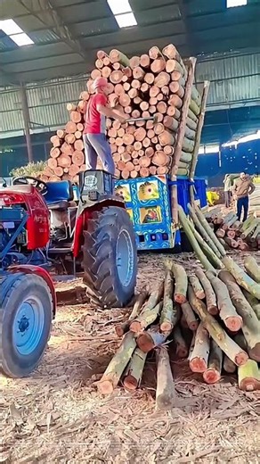 Unloading Logs: How Workers Efficiently Manage Timber Supply