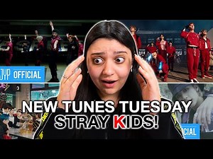 DISCOVERING Stray Kids - God's Menu, Thunderous, MANIAC, Easy M/V's | REACTION!!