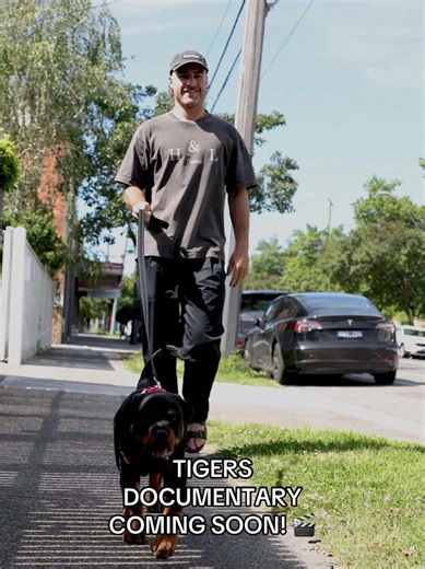 Tigers Documentary Coming Soon for Season 2026! 🎬