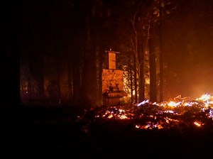 CZU August Lightning Complex Fire: 77,000 Evacuated