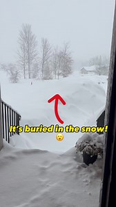 77K views · 143 reactions | How did that get there?! #reels #wow #viral #viralreels #fyp | The Original 'Wacky Dad Show' | Facebook