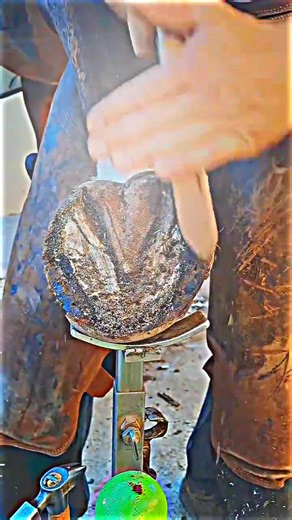 Exploring the Life of a Farrier