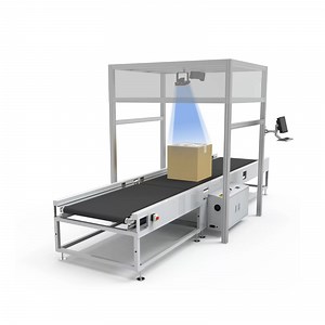 [Hot Item] Intelligent Logistics Conveyor System Code Scanning Dimension & Weight Measuring Dws Equipment