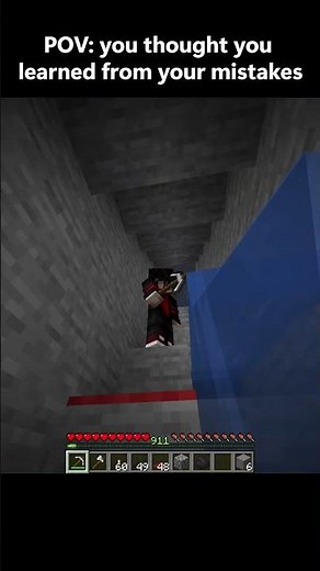 POV: you thought you learned from your mistakes Minecraft