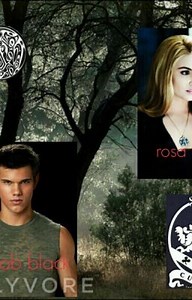 two different worlds (Jacob black love story) - the fight