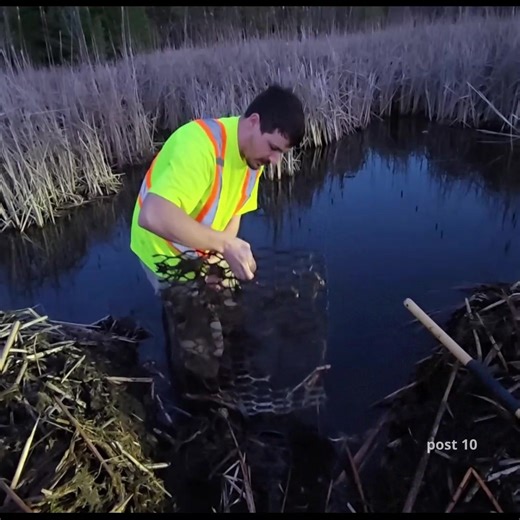 28K views · 365 reactions | Part 2 Unclogging Culvert 4 Times With Build Back Camera | Post 10 | Facebook