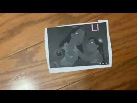 Caillou Join The Cirucs L is for Lion Tamer Barney Yankee Doodle (2004)