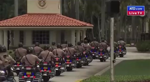 TikTok · Melissa Redpill