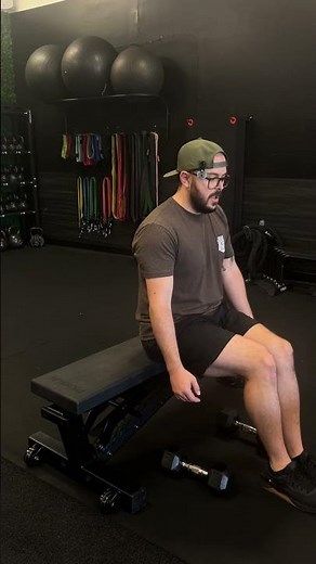 Dumbbell Seated Forearm Curls