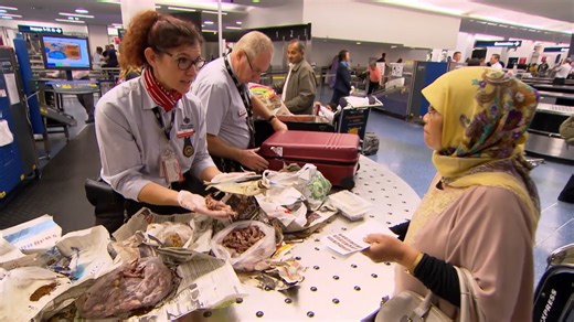 1M views · 9.9K reactions | Border Security Australia Season 14 | Sabby and Sophia vlogs fan flc | Facebook