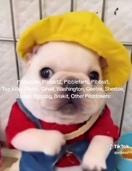 tuff #tuff #pibble #dance #pibblesoftiktok #pibblepan