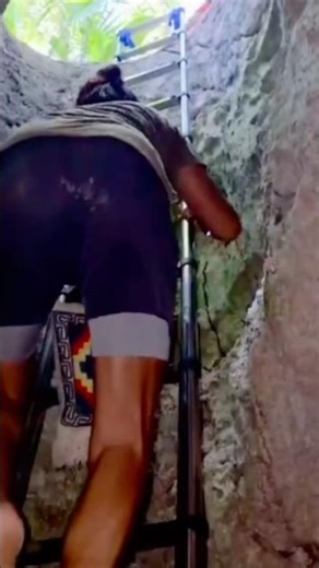 You Wouldn't Believe What's Under This Jungle Property in Mexico!