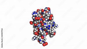 Ubiquitin protein, rotating space-filling model, seamless loop.