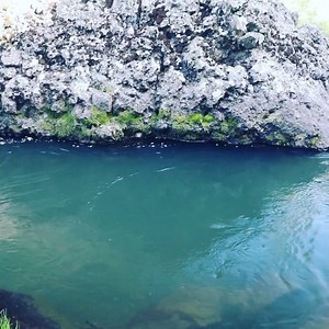 154K views · 1K reactions | Give it up for the meat eaters. #FishItWell Vid @arlosflyfishing #SimmsFishing | Simms Fishing Products | Facebook