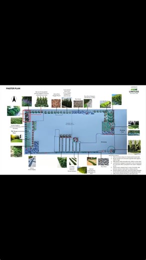 A year in the making from council approval to install. S Residence is taking shape with a strict design and beautiful planting palette using blues and greens to match the facade  | Limitless Queensland | Facebook
