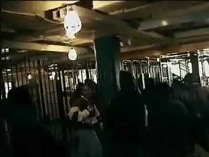 NYC Subway: 225 Street, 25 Trains