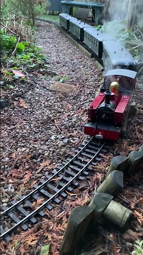 The new Roundhouse Russel live steam locomotive with it's first passenger train #gardenrailway