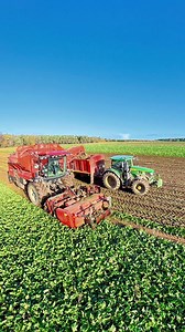 186K views · 1.7K reactions | In the filed harvesting sugar beet with the Agrifac LightTraxx harvester | Pro Horizon Farming Content | Facebook