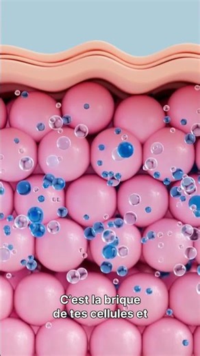 ​"Cholestérol : Le grand mensonge ?