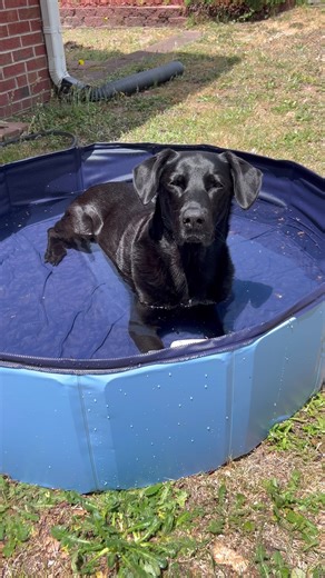 A hot day a cold bath 👌🏾