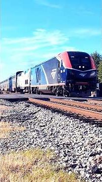 Amtrak Auto Train P052 passes Rocky Mount NC 10/20/2024