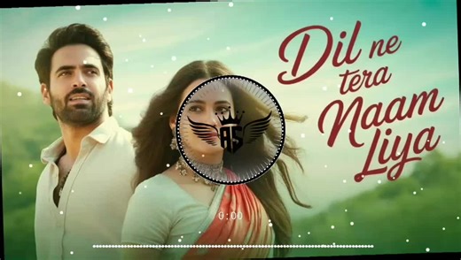 Dil Ne Tera Naam Liya - Full Trending Urdu Song