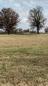 Setting up the SPYPOINT Link Micro LTE cellular game camera with an exterior antenna. #spypoint #spypointtrailcameras #spypoint #gamecamera #huntingseason #deerfeeder #hoghunting #texasrancher #FACEBOOKSTARS | Texas Rancher