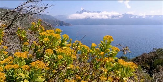 Screenshots from YouTube Video in the French Island Corsica