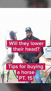 66K views · 1.3K reactions | When buying a horse, it's important to...