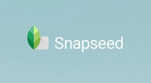 Downloade und starte Snapseed auf PC & Mac (Emulator)