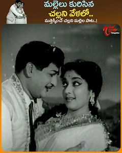 NTR and Jamuna Evergreen hit Song " Mallelu Kurisina Challani Velalo " from " Adugujadalu " telugu Movie, Starring : NTR, Jamuna, SVR, relangi and others, movie directed by Tapi Chanakya. Produced by M.Sambasivarao and Music by Master Venu.#AdugujadaluSongs #NTRMovieSongs #telugumelodysongs #oldmoviemoonlightsongs #ActressJamunaSongs #OldteluguSongs | Old Telugu Songs