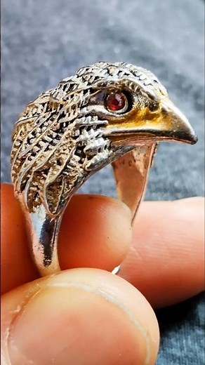 Treasure Hunt in the River with the Metal Detector #shorts #metaldetecting #treasurehunting