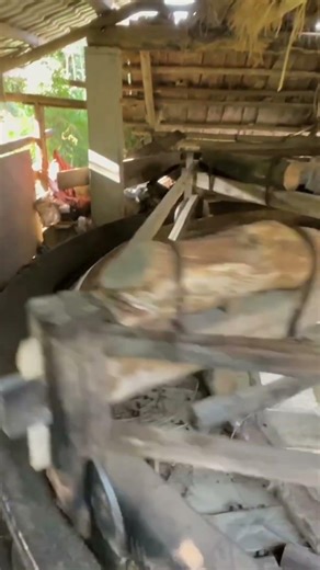 Tea Rolling Process, Ancient Craftsmanship Makes Good Tea