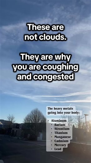 Heavy Metals in the Sky?! The list and the symptoms raising questions🤔🤨❓ #aluminium #wintersickness #heavymetals #pollution #skywatching