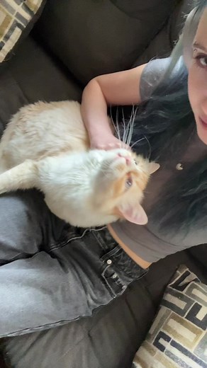 ghost 🧡