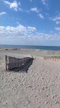 日本三大砂丘の1つ 静岡県浜松市の中田島砂丘です sand dune