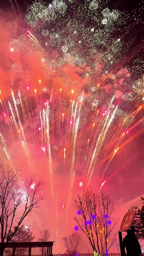 Happy #NewYear2026! Hope that every spark comes from the fireworks used for celebration rather than for bad purposes. #happynewyear #fyp